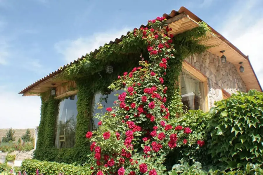 مجتمع گردشگری ساحلی باری: لذت در کنار دریاچه ارومیه