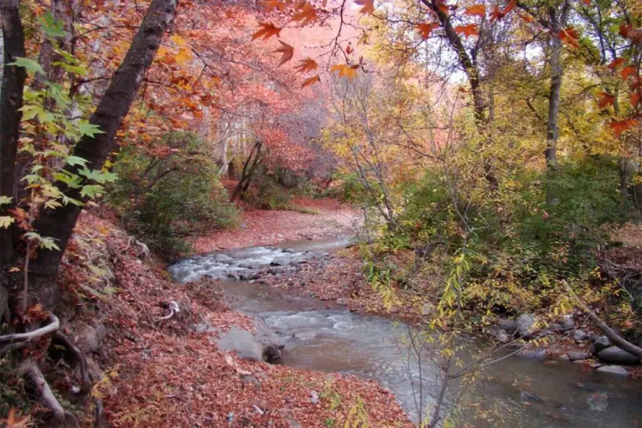 بهترین آب و هوای روستای برغان کرج 