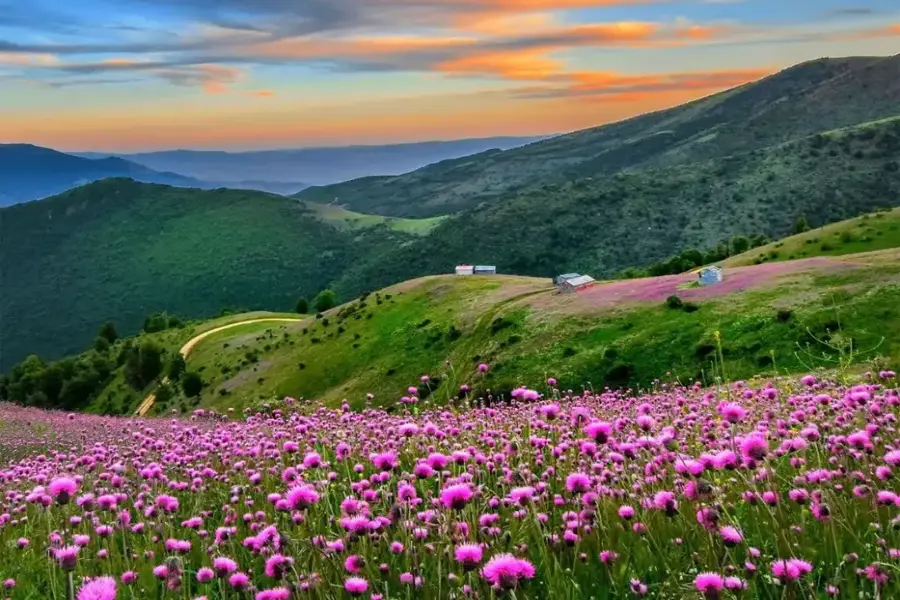 ییلاق سلانسر رودبار