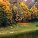 پارک جنگلی النگدره