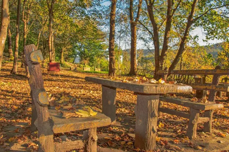 پارک جنگلی میرزا کوچک خان