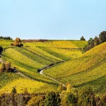 شهر تاکستان کجاست؟