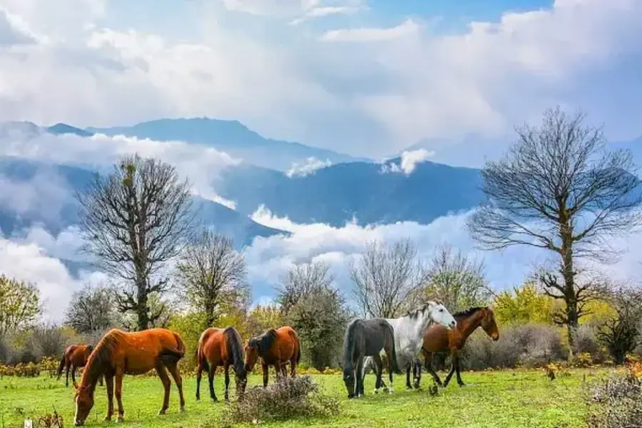 روستاهای دیدنی اطراف آمل