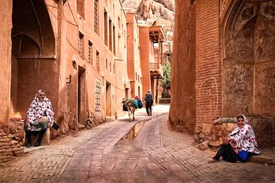 روستای ابیانه